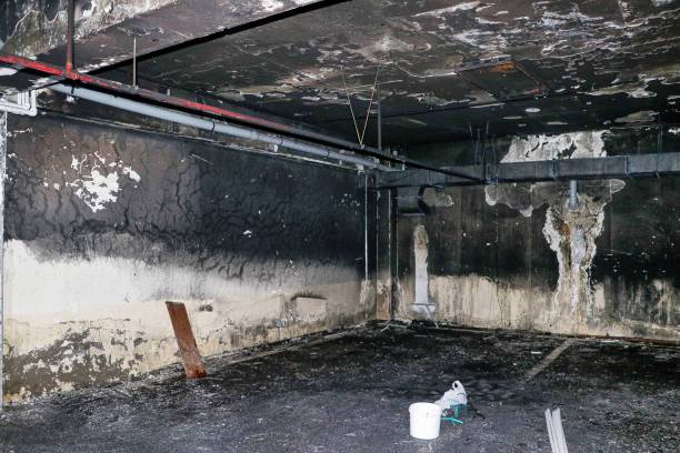 water damage (26)