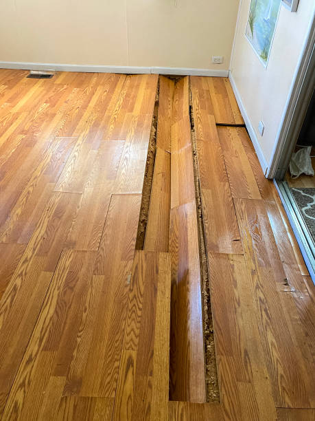 water damage (30)